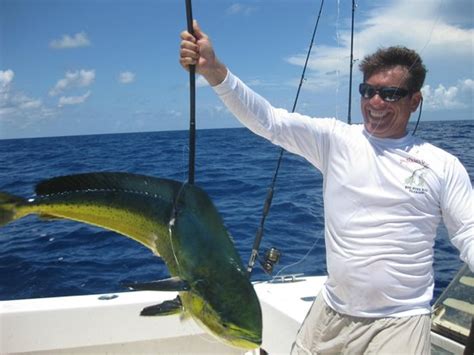 home to go reviews tripadvisor|Superfish will forever be our family’s go to for an  .